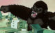 Big Bad Ape Oyunu Oyna