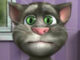 Talking Tom Oyunu Oyna