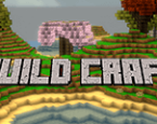 Build Craft