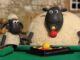 Koyun Shaun: Bilardo