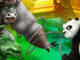 Kung Fu Panda: Öfkeli Dövüş Oyunu Oyna