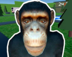 Wukong: Journeys of a Baboon