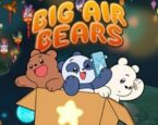 Big Air Bears