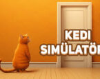 Kedi Simülatörü Oyunu Oyna