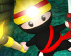 Madenci Ninja 2