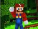 Minecraft Süper Mario Sürümü