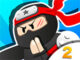 Ninja Elleri 2