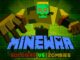 Minecraft Vs Zombie